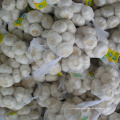 2020 China/Chinese Best Fresh Natural Garlic Price - New crop, Hot sales